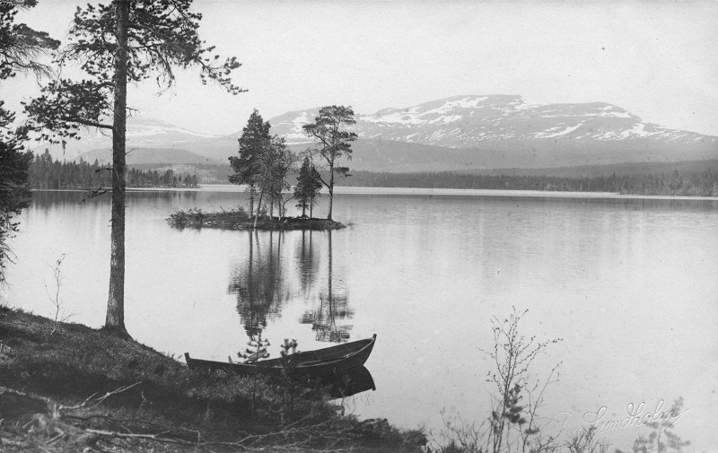 Fisk&aring;fj&auml;llet