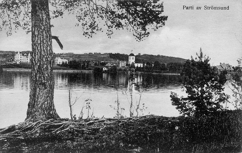 Fr&aring;n N&auml;sviken