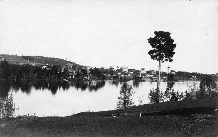 Fr&aring;n N&auml;sviken