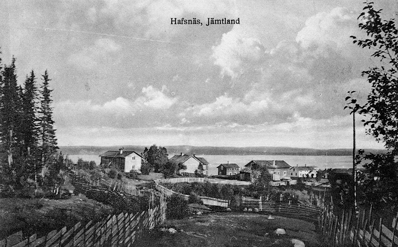 Havsn&auml;s