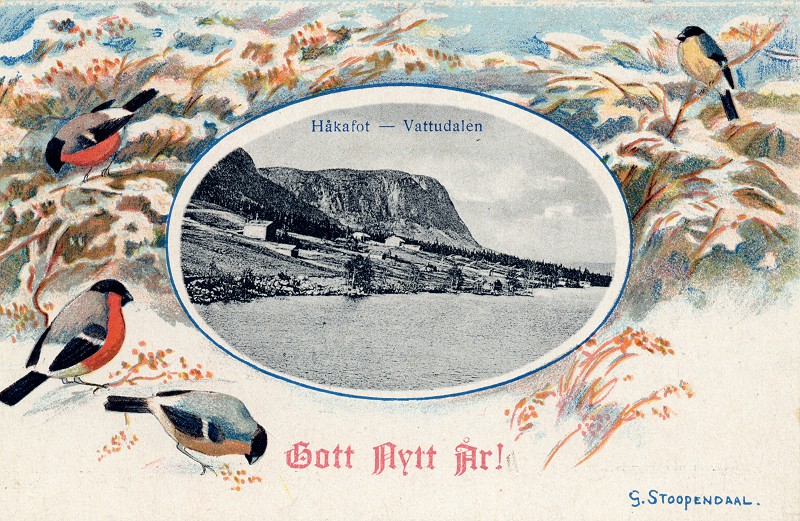 Julkort H&aring;kafot