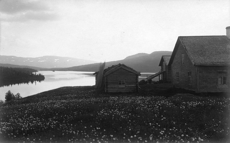 Tangen Lilla Bl&aring;sj&ouml;n