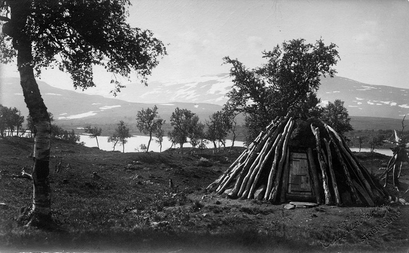 Lappk&aring;ta vid Sippmikk