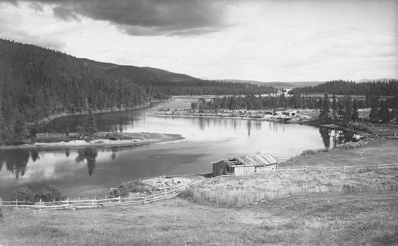 Vallmon vid norska gr&auml;nsen