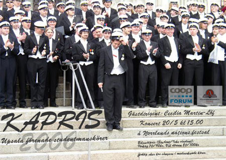 KAPRIS-affisch-2006
